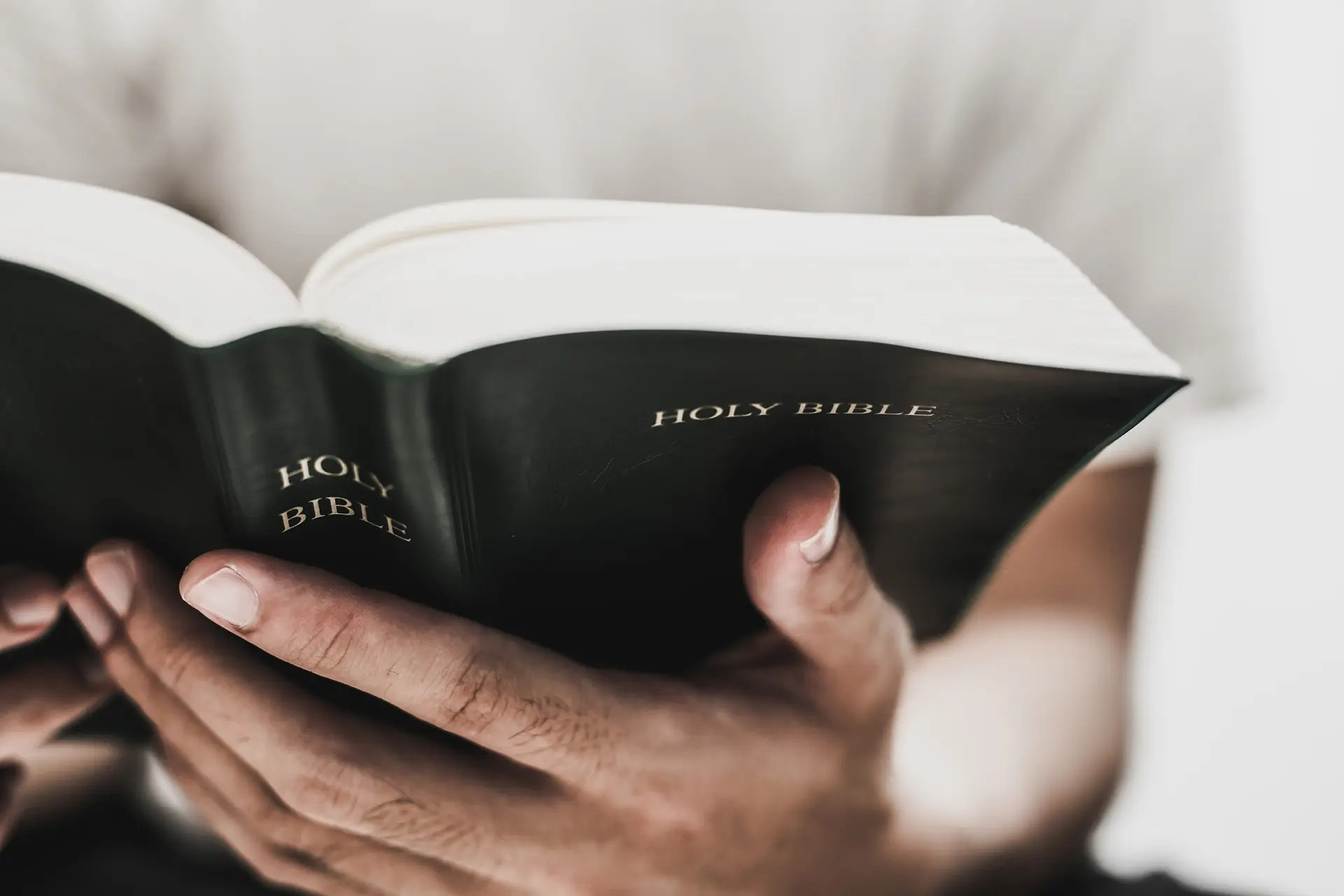 Reading the Bible